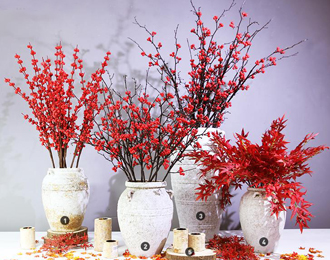 �����̻�ֲ������